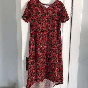 LulaRoe Carly dress